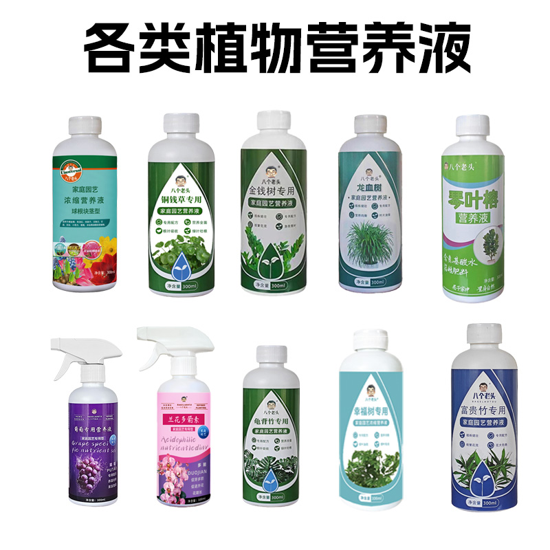 八个老头幸福树专用营养液