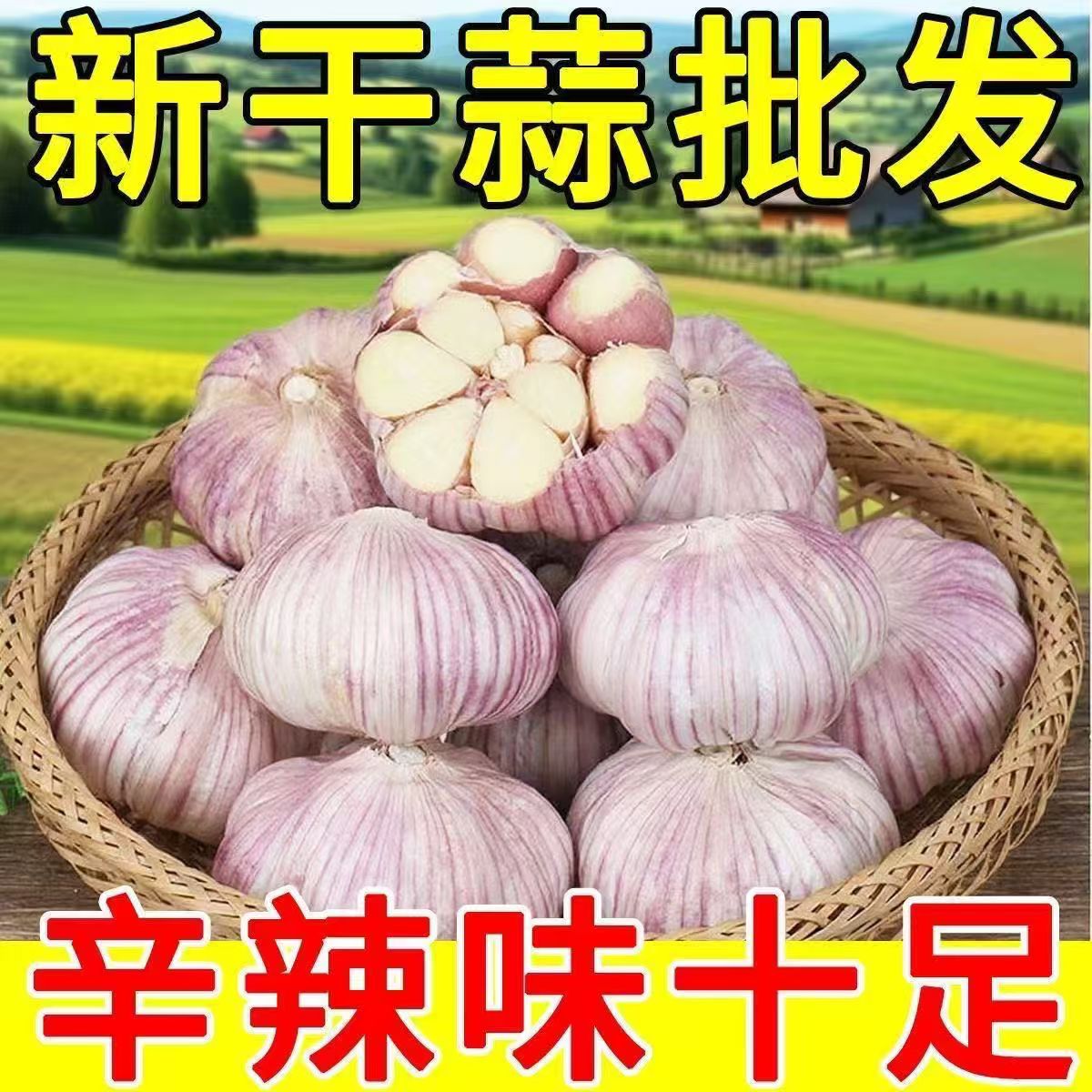 【特大干蒜】山东紫白皮大蒜头新干蒜大蒜大蒜头批发新鲜大蒜头