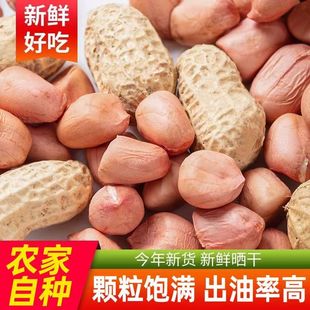 25年新货1 5斤整包批发生花生带壳晒干粉皮饭店榨油商用花生红皮