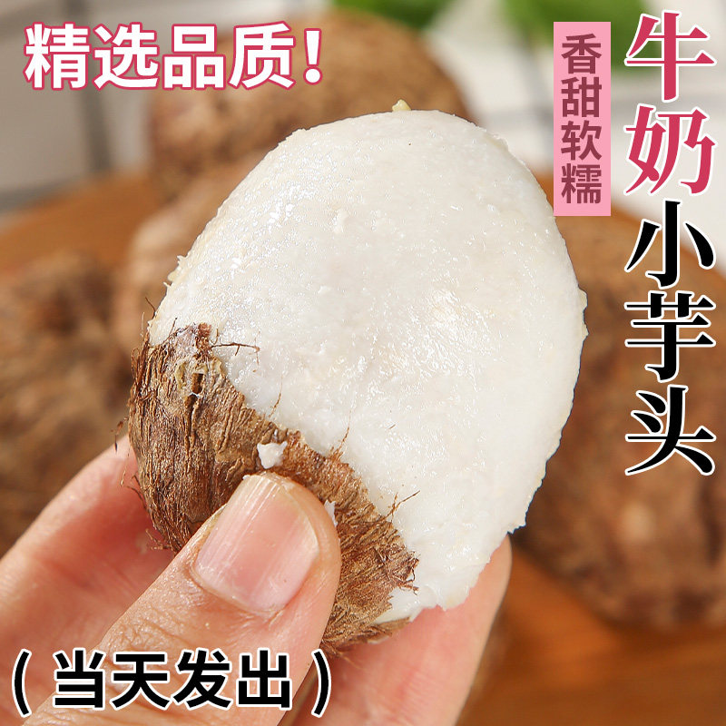 【热卖推荐】云南牛奶小芋头