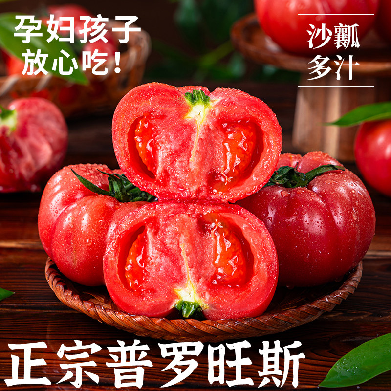 正宗陕西普罗旺斯沙瓤西红柿新鲜自然成熟水果当季生吃番茄蔬菜