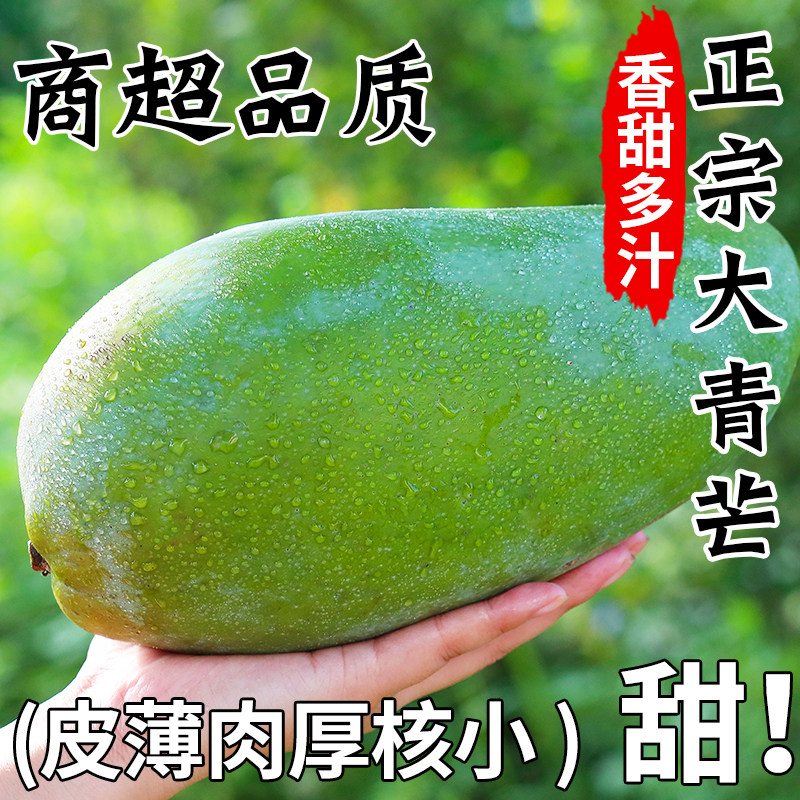 正宗大青芒芒果新鲜水果当季整箱斤热带甜心青皮芒金黄芒大果海南