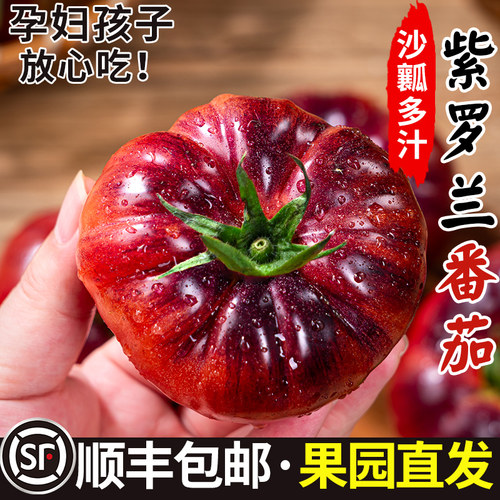 【爆款热销】紫罗兰番茄沙瓤甜