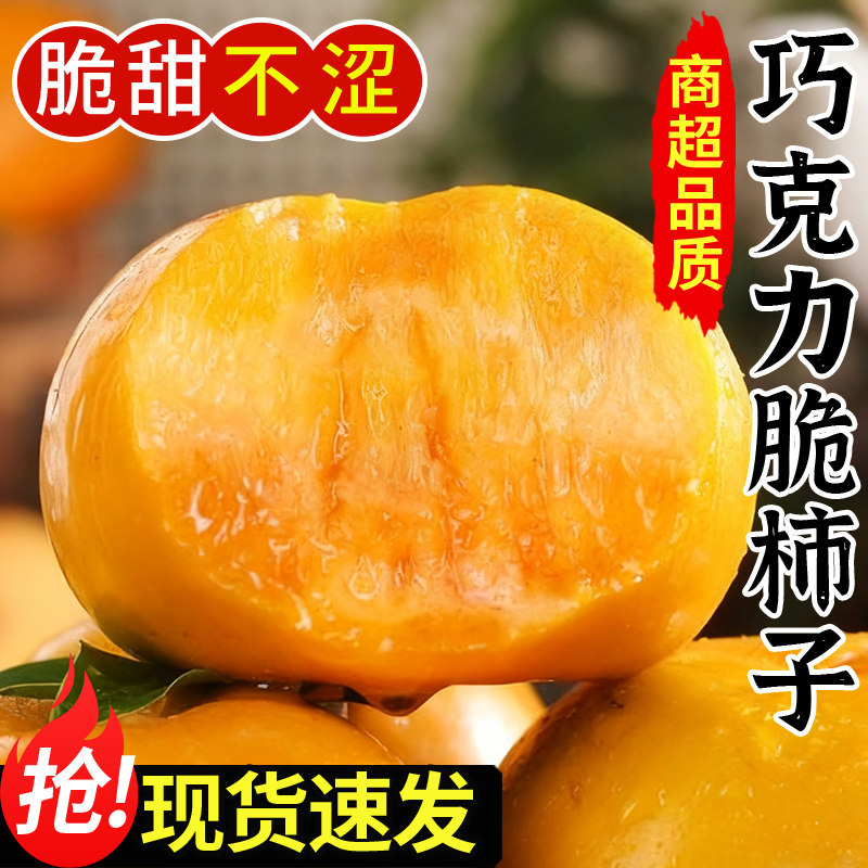 现货速发丨巧克力脆柿丨好吃不涩
