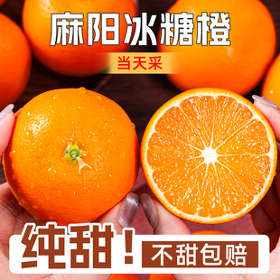 湖南麻阳冰糖橙新鲜橙子10水果当季正宗整箱果冻冰糖甜橙手剥现摘