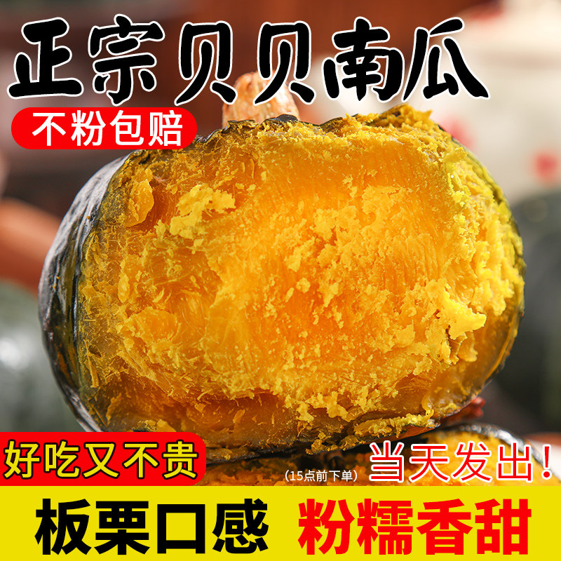 正宗贝贝南瓜新鲜板栗味小南瓜栗面整箱老瓜婴儿孕妇粉糯香甜整箱