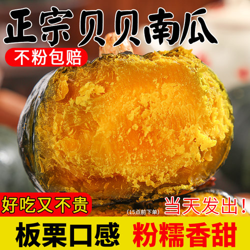 正宗贝贝南瓜·粉糯香·板栗口感