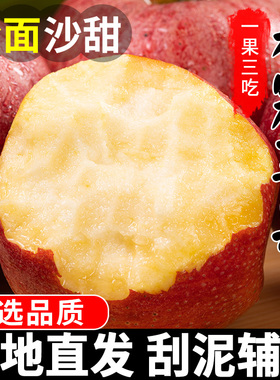 秦冠粉面沙甜苹果陕西新鲜婴儿老人宝宝刮泥秋冬应季大水果整箱