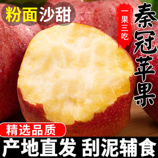 秦冠粉面沙甜苹果陕西新鲜婴儿老人宝宝刮泥秋冬应季大水果整箱