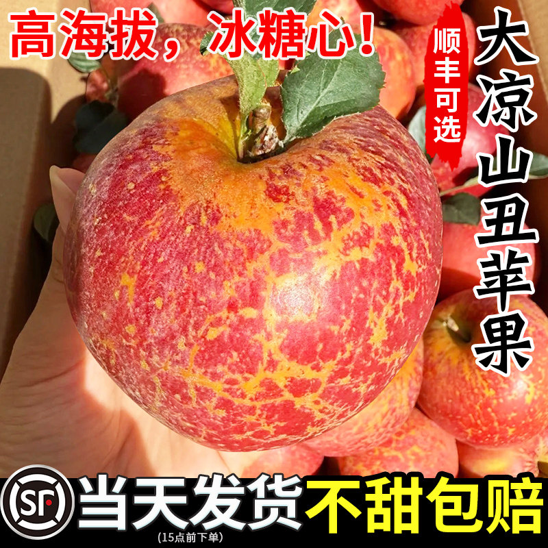 【热销爆款】冰糖心丑苹果