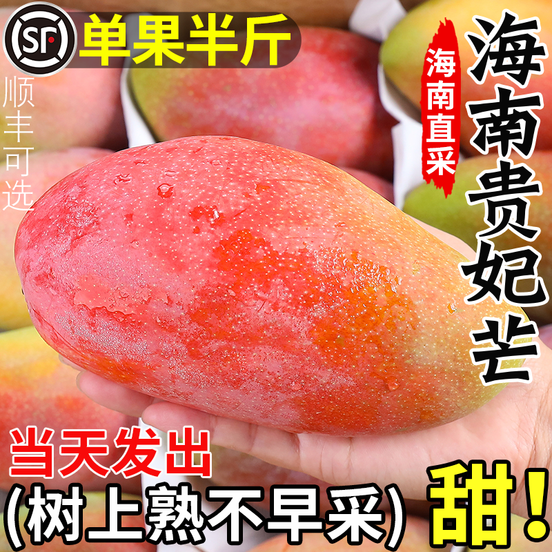海南贵妃芒芒果新鲜10水果大果当季整箱斤树上熟红金龙青煌辣椒芒