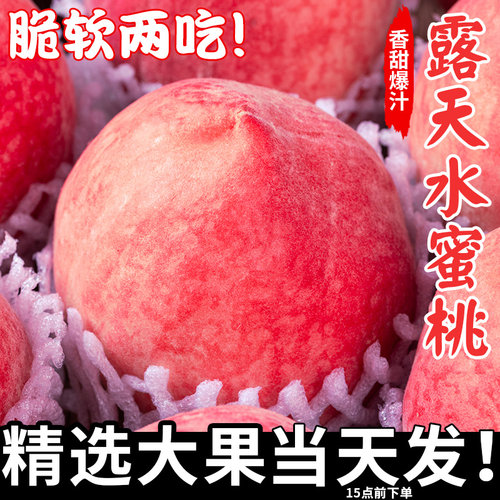 【热销爆款】新鲜水蜜桃大果