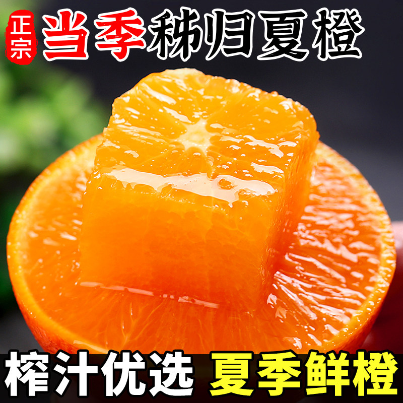正宗夏橙新鲜当季水果整箱斤秭归夏橙专果冻甜冰糖榨汁用大橙子