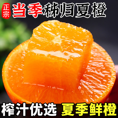 当季热销正宗夏橙榨汁专用