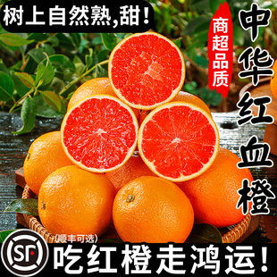 正宗血橙新鲜橙子水果当应季整箱中华红香甜冰糖红心肉雪官方果冻