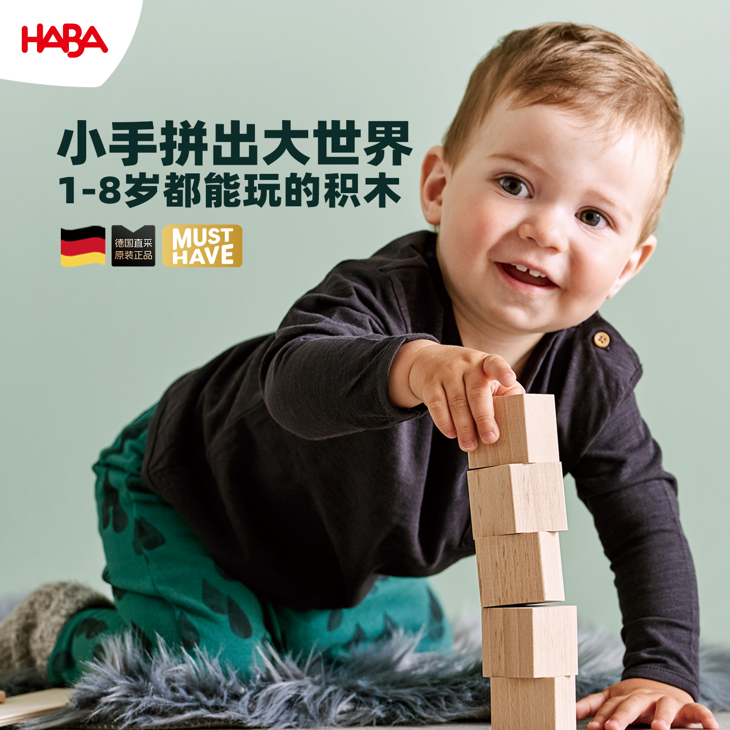 德国HABA1-8岁实木积木