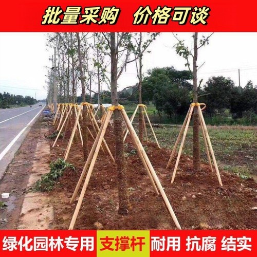 树木支撑固定器大树支撑杆木棍防风三角脚架园林绿化用品套杯支架