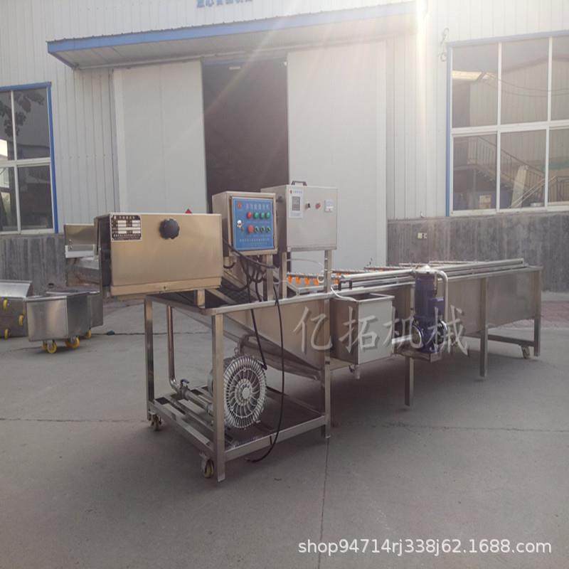 定制多功能水果蔬菜清洗机猕猴桃气泡清洗机蘑菇豆角清洗机,清洗/食品/商业设备,其他食品加工设备,淘宝优惠券,粉丝福利购,淘宝优惠卷