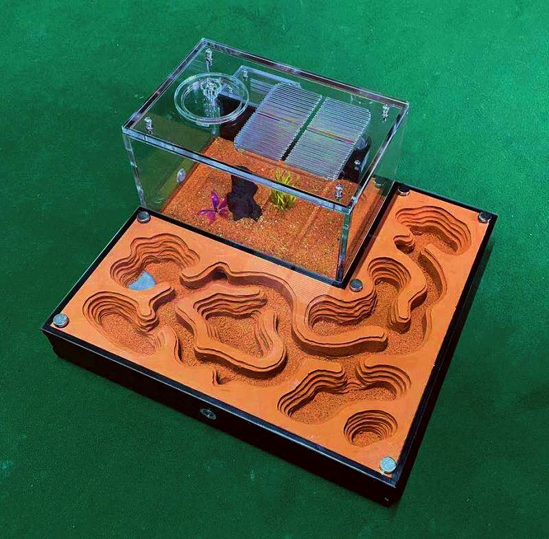 蚂蚁城堡宠物蚂蚁新型窝蚂蚁生态蚁巢 学生专用蚂蚁工坊蚂蚁别墅