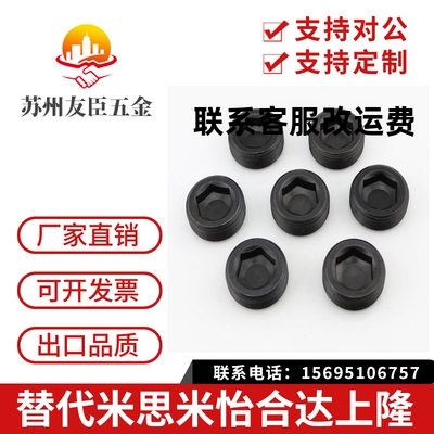 沉头螺塞 MSWT/MSWTK-J/S/1/2/3/4/5/6/8