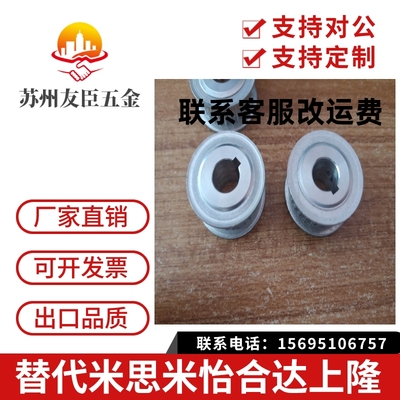 同步带轮TTPA16/20/22/24/25/28/30 T10150/200/250/300-A-P/N同