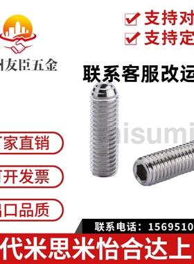 不锈钢加长型轻载型球头柱塞 BSML3/4/5/6/8/10/12 BMSL系列