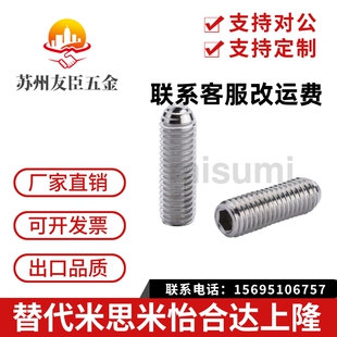 不锈钢加长型轻载型球头柱塞 BSML3/4/5/6/8/10/12 BMSL系列