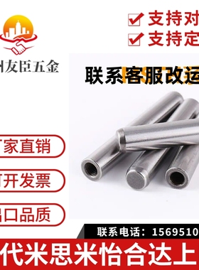 米思米内螺纹圆柱销替代盘起MSTP定位销MSTM透气孔销钉检具MISUMI