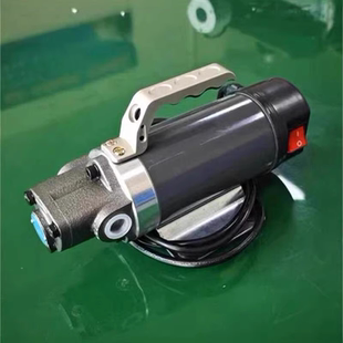 WYPP 220V手提汽车换机油泵总成自吸摆线泵齿轮泵头电机 厂家直销