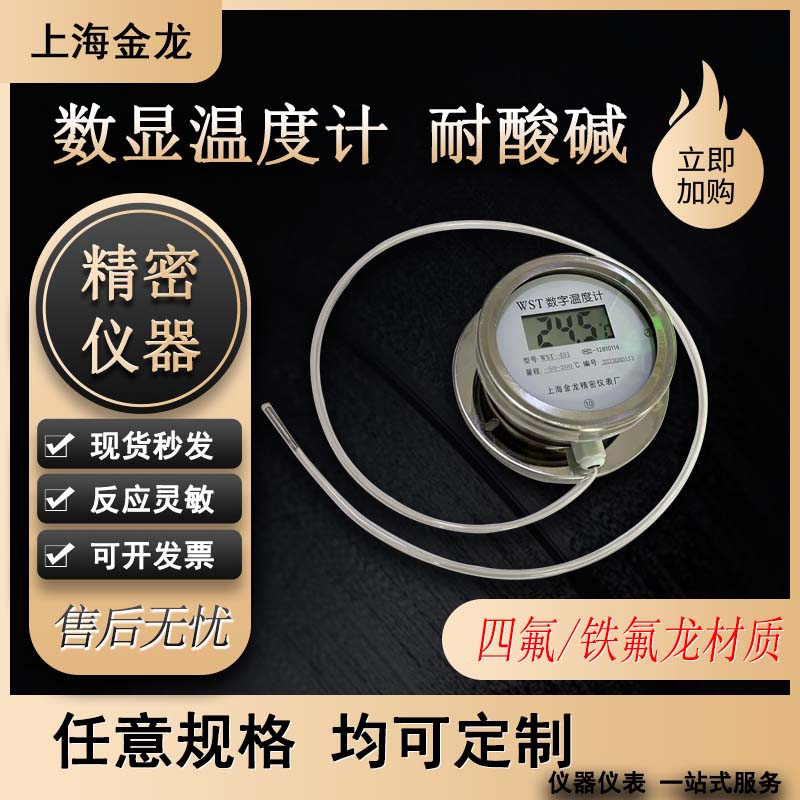 数显温度计耐酸碱腐蚀聚四氟乙烯铁氟龙高精度不锈钢测温仪WST491