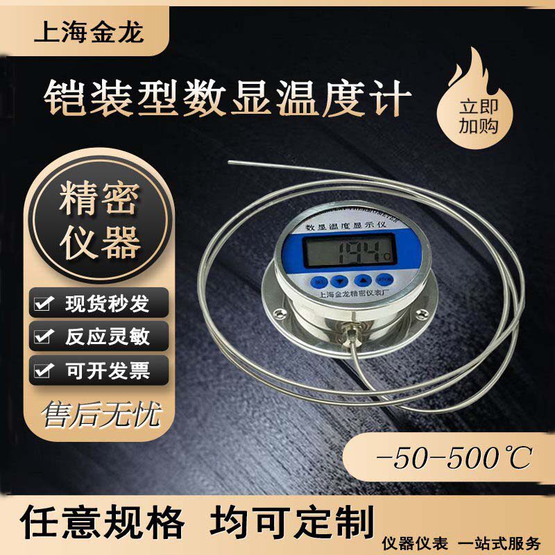 铠装型数显温度计WST491不锈钢丝高精度表耐腐蒸煮熬糖汤药测油温
