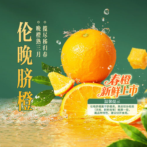东方甄选伦晚脐橙5斤/9斤装