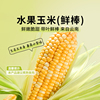 东方甄选水果玉米(鲜棒)新鲜甜玉米当季新鲜蔬菜时令生鲜早餐粗粮