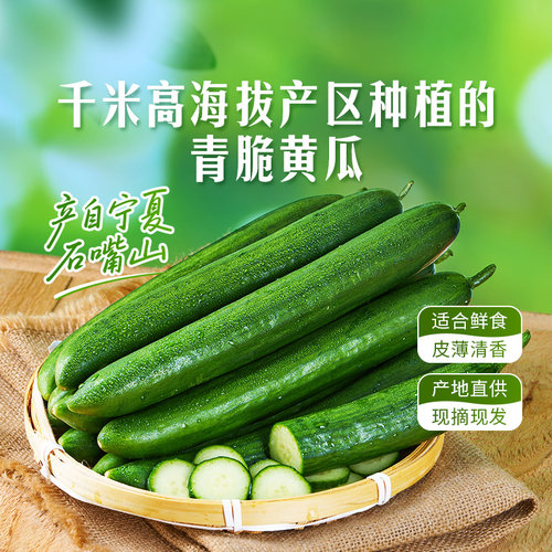 东方甄选皮薄青脆黄瓜