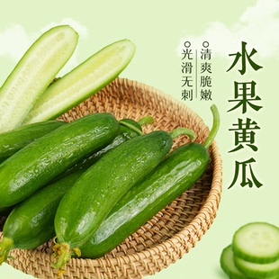 东方甄选水果黄瓜新鲜生吃当季 蔬菜时令生鲜无刺小黄瓜整箱
