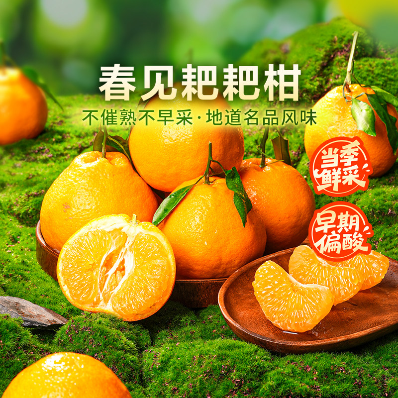 东方甄选四川春见耙耙柑水果新鲜当季整箱时令生鲜顺丰5斤/8斤装,水产肉类/新鲜蔬果/熟食,桔子,淘宝优惠券,粉丝福利购,淘宝优惠卷