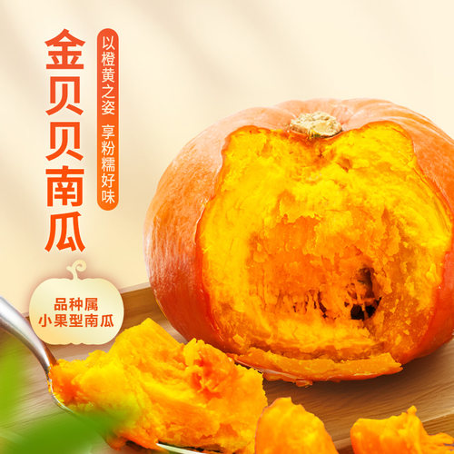 东方甄选金贝贝南瓜4.8斤装