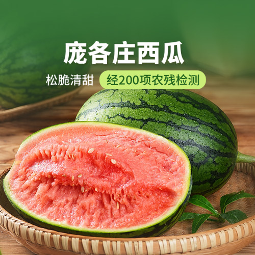 东方甄选庞各庄西瓜1粒/2粒装