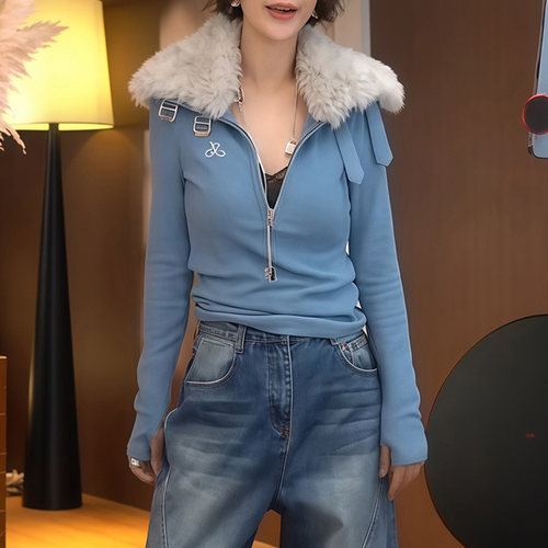 通勤风毛领卫衣女春秋季