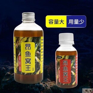 尤子昂鱼窝王厂窝忠聚昂鱼窝王黄颡鱼黄辣丁嘎鱼鲶鱼昂刺开口诱鱼