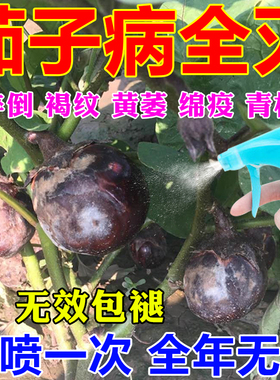 茄子病专用药防枯萎黄萎猝倒灰霉卷叶病茄子杀菌剂抗病增产叶面肥