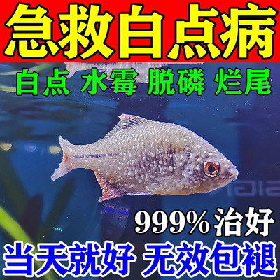 白点净鱼药鱼病专用药治疗霉烂尾