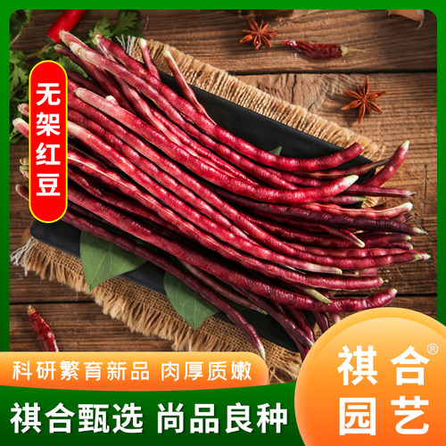 祺合春季庭院阳台无架红豇豆口感