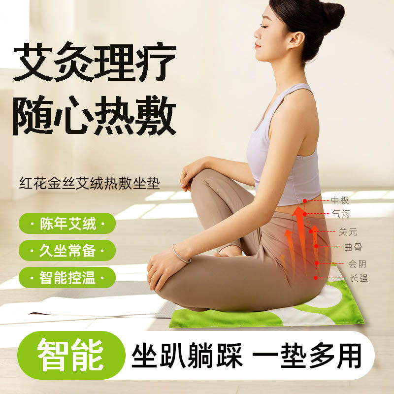 艾灸热敷理疗仪全身家用无烟随身灸加热控温膝盖腰部护腰坐灸垫xr