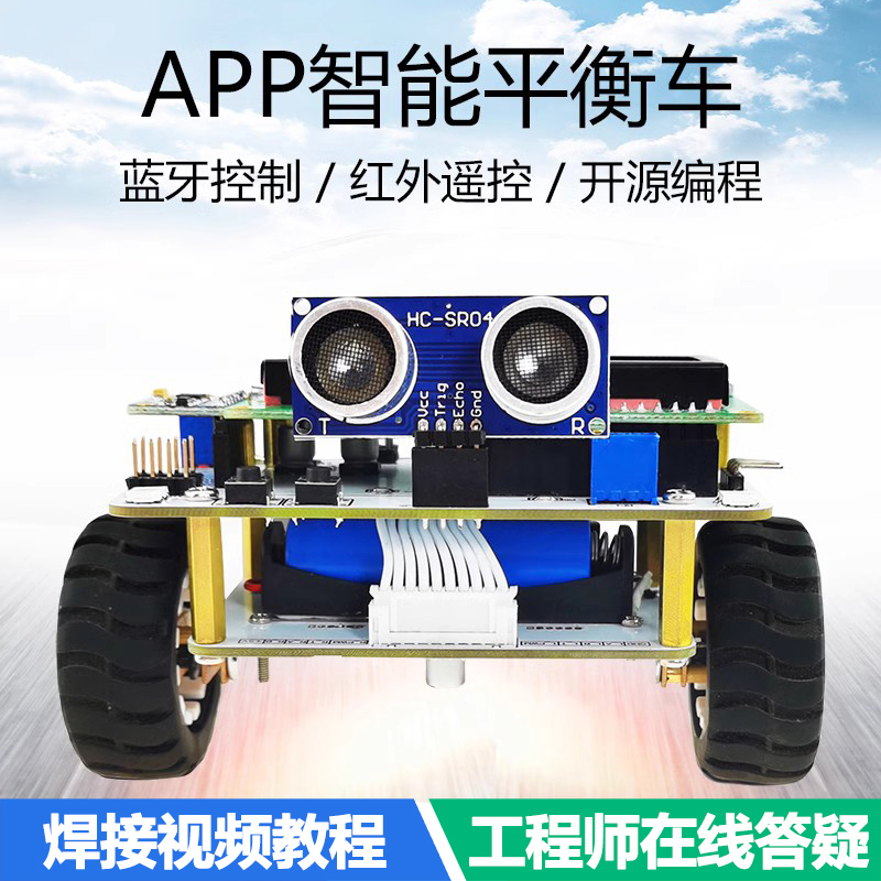 C51单片机两轮自平衡小车