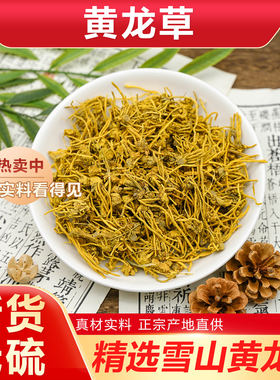 正宗特级青藏高原雪山黄龙草根头含须条野生根茎龙须草根茶中药材