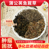 蒲公英鱼腥草白花蛇舌草茶包舯肿留瘤困扰净化皿液减轻焱症中药材