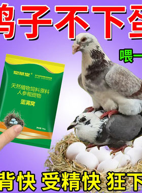鸽子蛋多多【受精快】公鸽子不踩背新老鸽不下蛋软蛋畸形蛋催蛋素