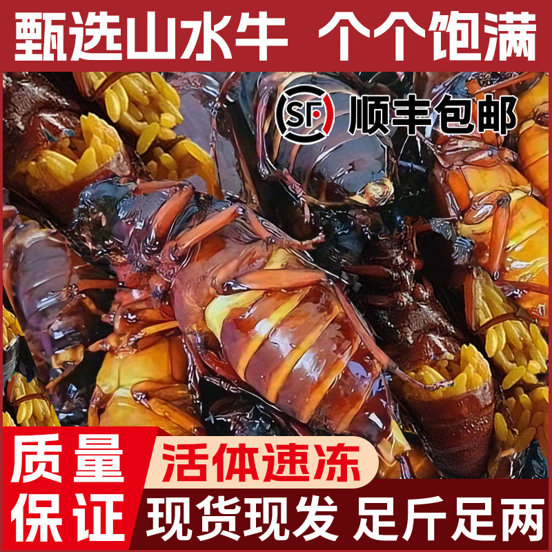 新鲜大个山水牛新头茬山山牛山虫牛水牛子全母带籽新鲜活体冷冻
