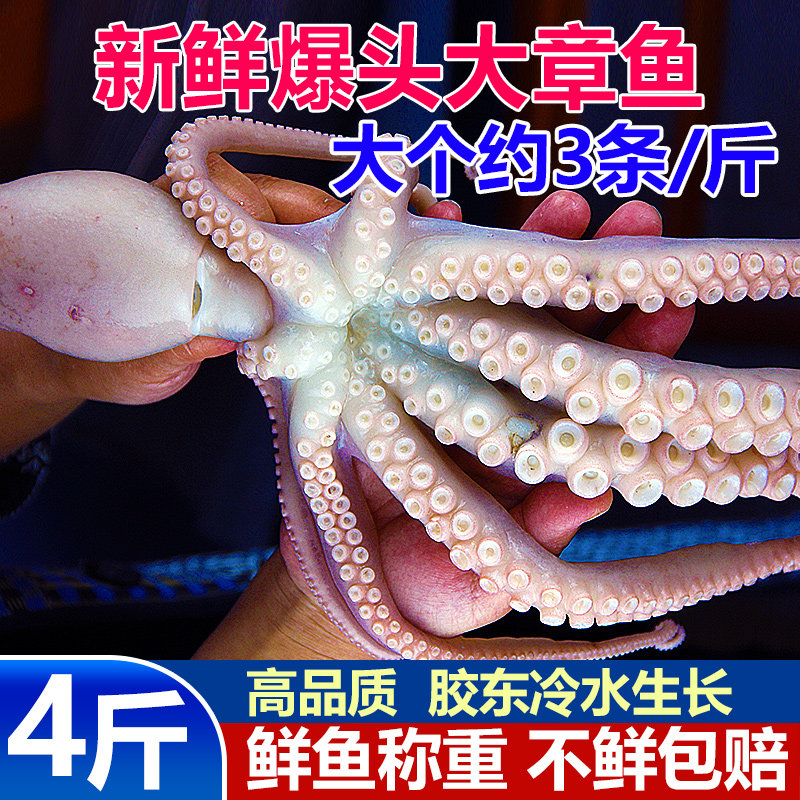 渤海新鲜长腿八爪鱼4斤出口品质